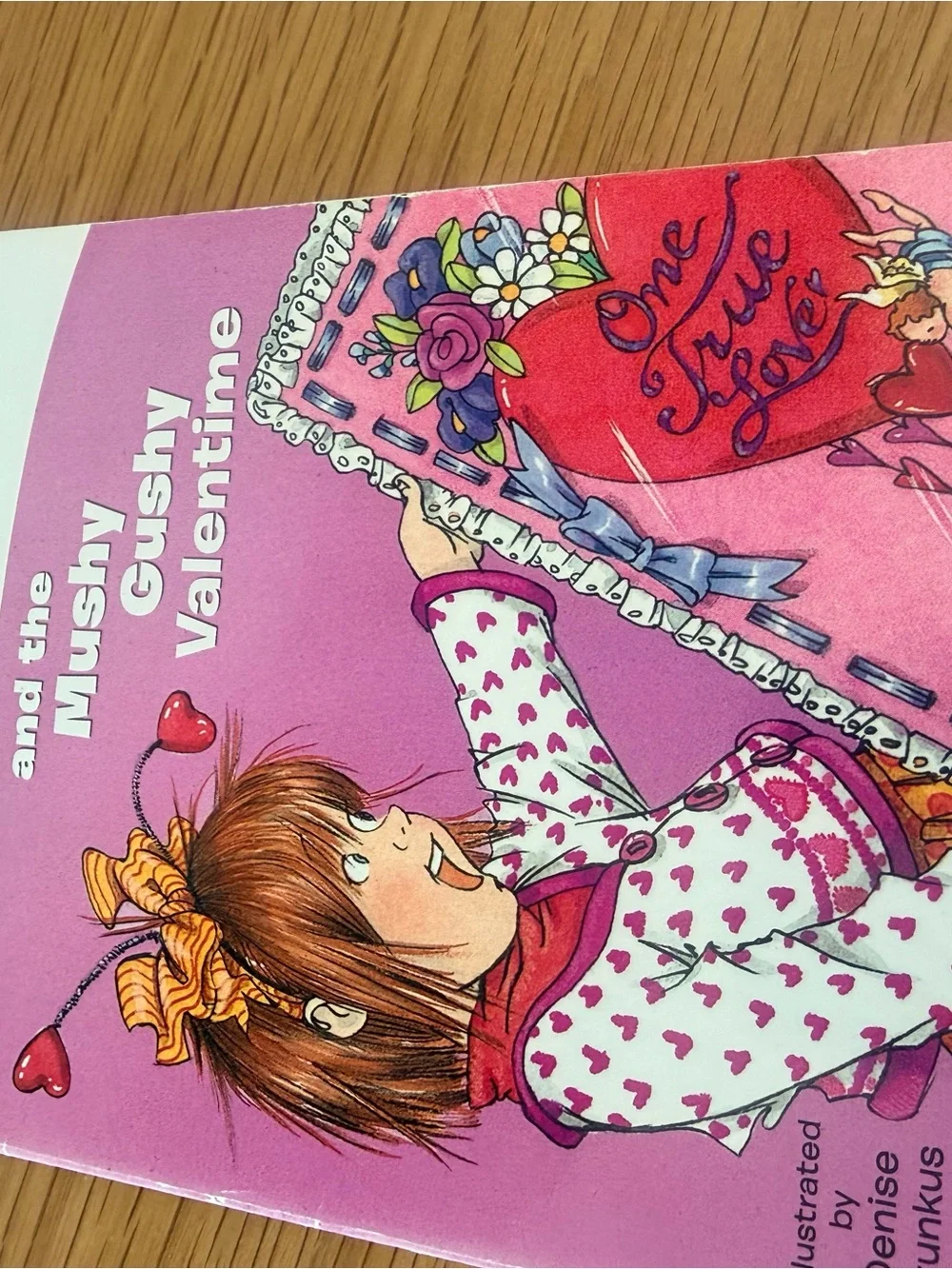 Childrens Junior Collection of over 30 Books